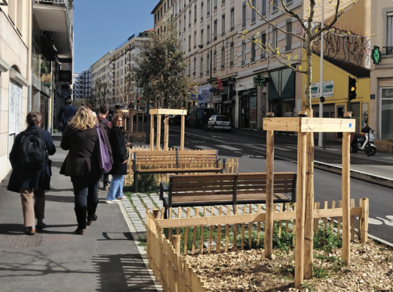 Grande rue de la Guillotière végétalisée